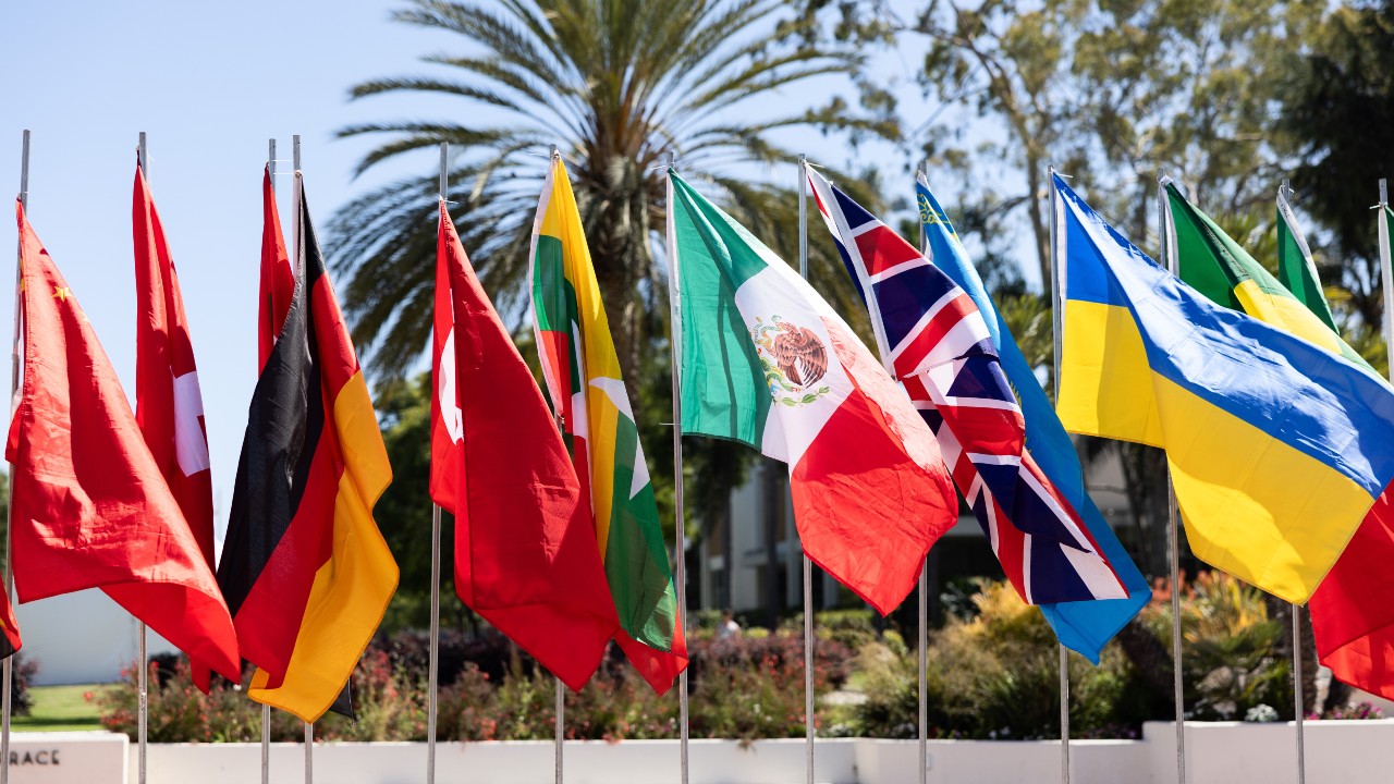 International Flags LMU