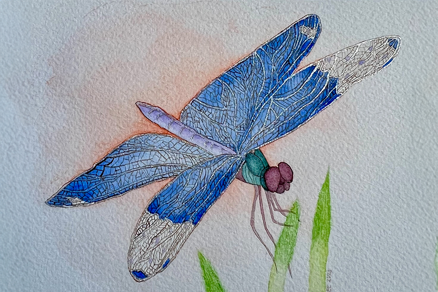 blue watercolor dragonfly