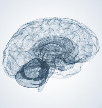 X-ray photo of brain