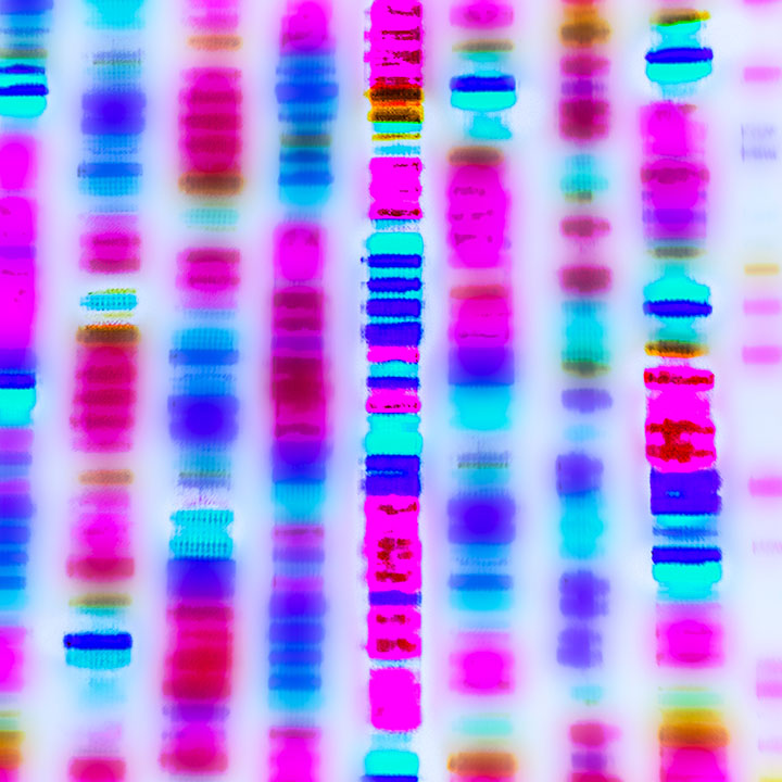 Gene sequencing