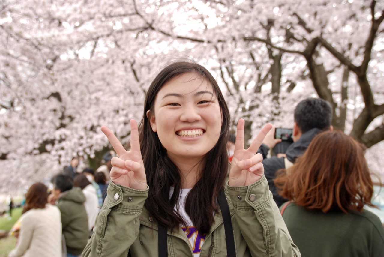 A picture of alumna Veronica Rose Tan under sakura trees in Japan. 