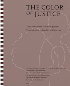 Color of Justice Report front cover