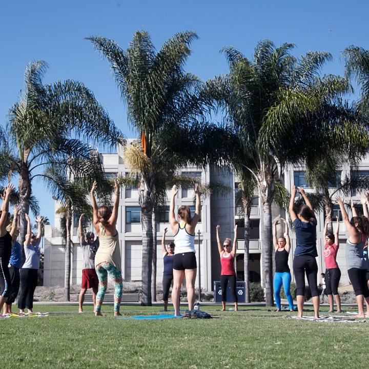 Yoga Studies - Loyola Marymount University