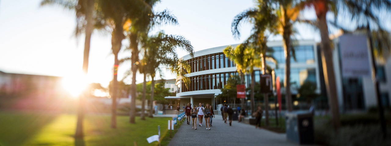 Students walking on sidewalk with palm trees